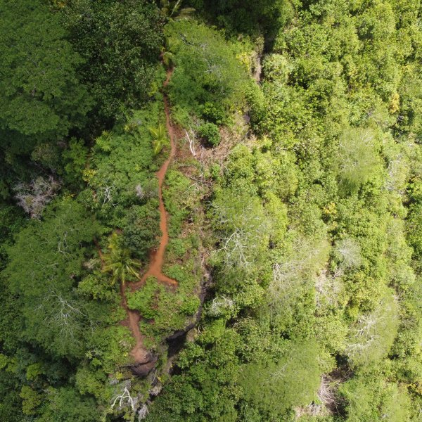 Moorea
