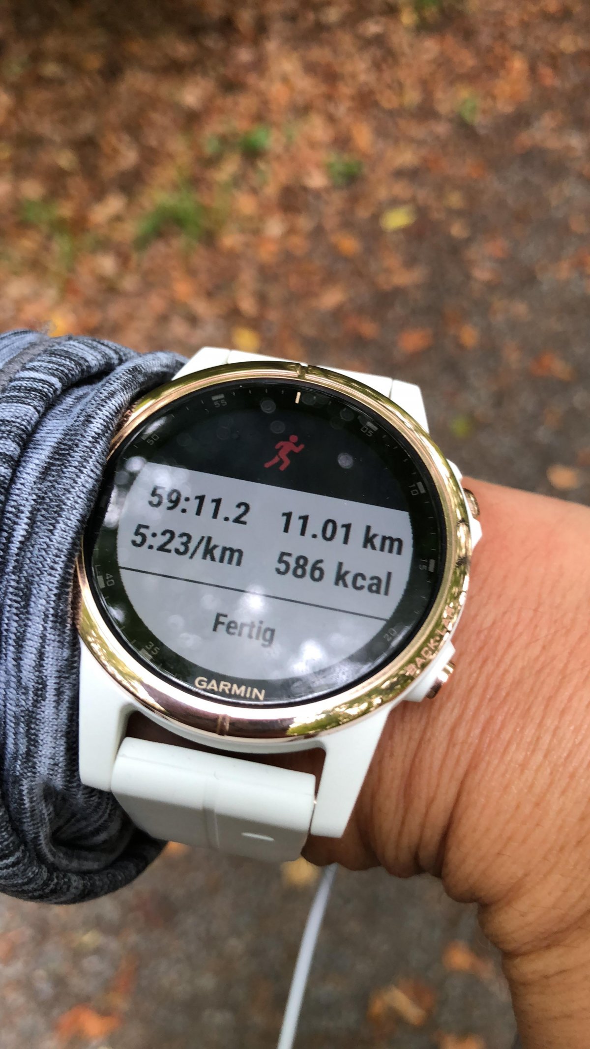 fenix 5 s plus