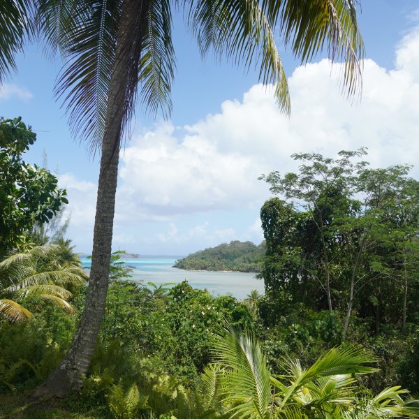 Huahine